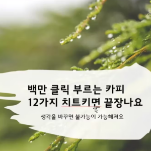 백만 클릭 부르는 카피 12가지